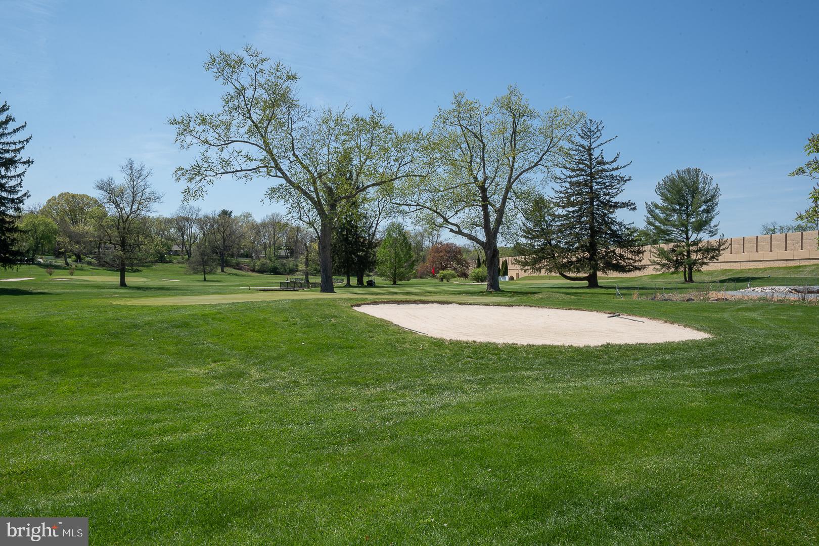 441 Drummers Lane, Unit 441 Wayne, PA 19087 - Photo 32 of 32 a view of a park with large trees
