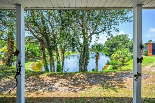 a view of a yard with street