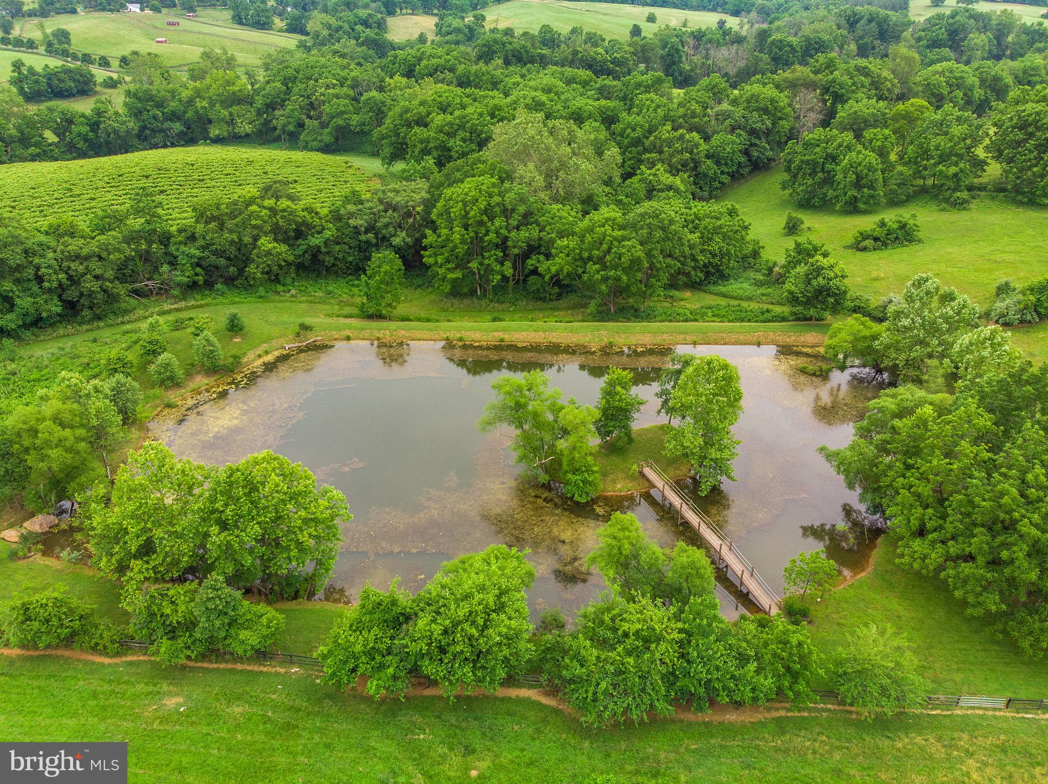 Champe Ford Road Middleburg, VA 20117 - Photo 2 of 4 Pond with Bridge to Island