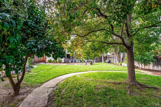 a big yard with large trees and plants