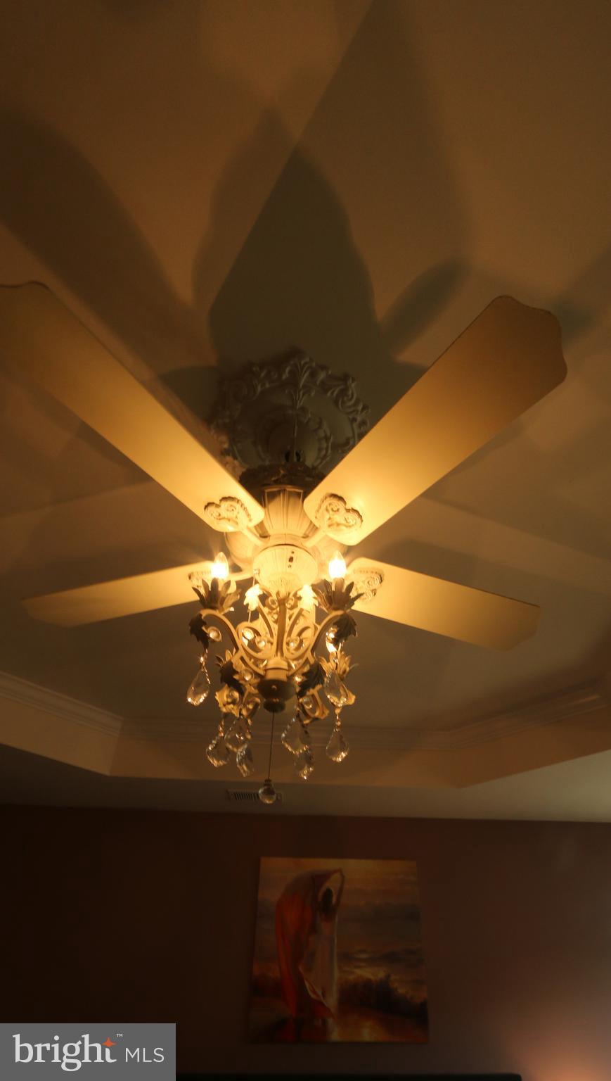 13603 Rockingham Lane Gainesville, VA 20155 - Photo 25 of 36 Upgraded Ceiling Fan / Light in Master Bedroom