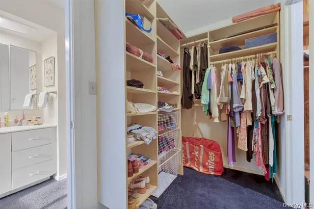 a view of walk in closet with clothes and shoes