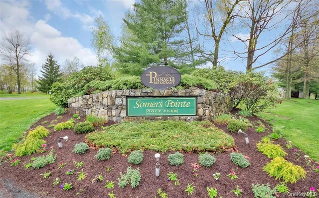 a view of a tree in front of a garden