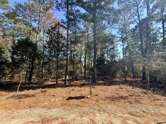 $63,000 | Lot 59 South Hill Ridge Road, Bastrop, TX 78602
