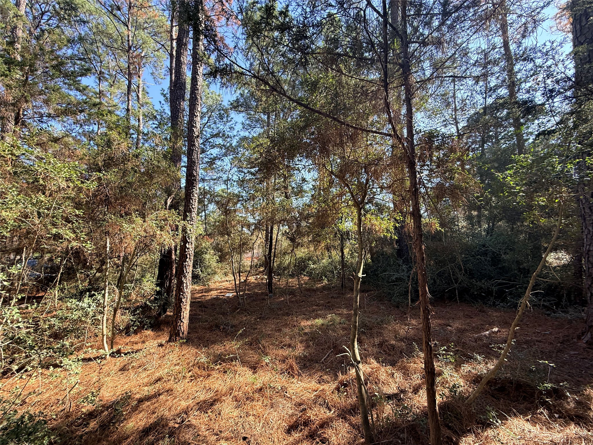 Lot 59 South Hill Ridge Road Bastrop, TX 78602 - Photo 12 of 16