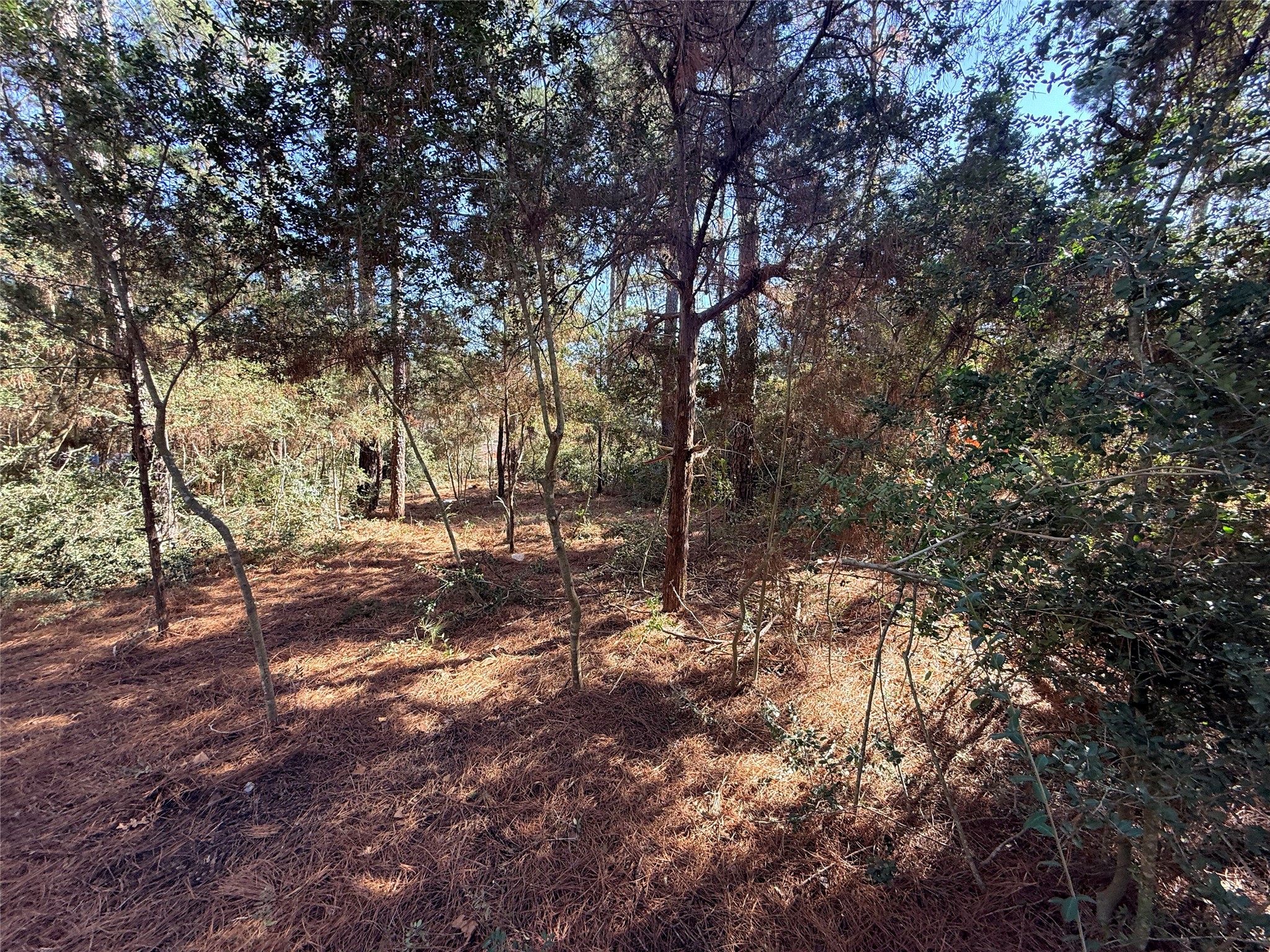 Lot 59 South Hill Ridge Road Bastrop, TX 78602 - Photo 14 of 16
