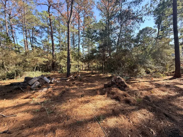 a view of outdoor space with trees
