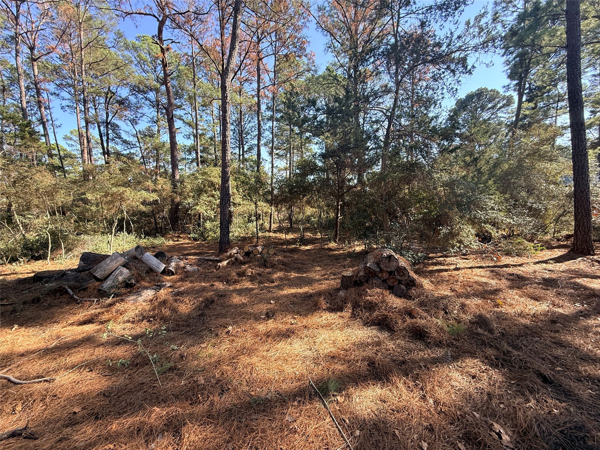 Lot 59 South Hill Ridge Road Bastrop, TX 78602 - Photo 15 of 16