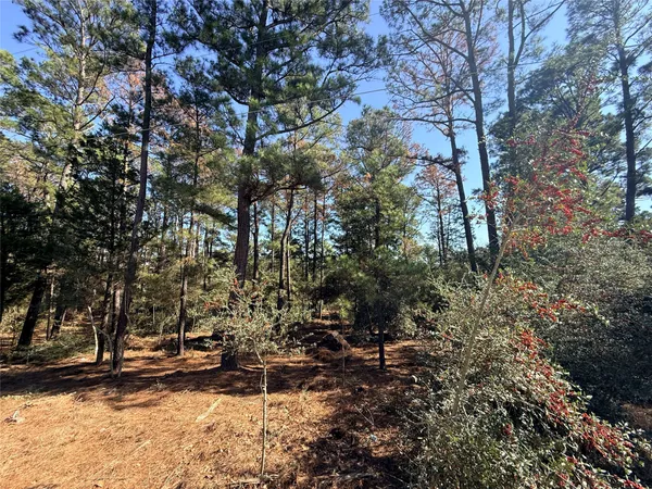 $59,900 | Lot 59 South Hill Ridge Road, Bastrop, TX 78602