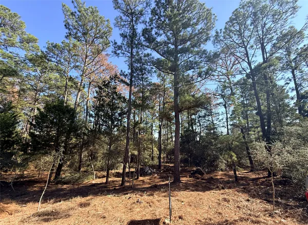 a view of outdoor space with trees