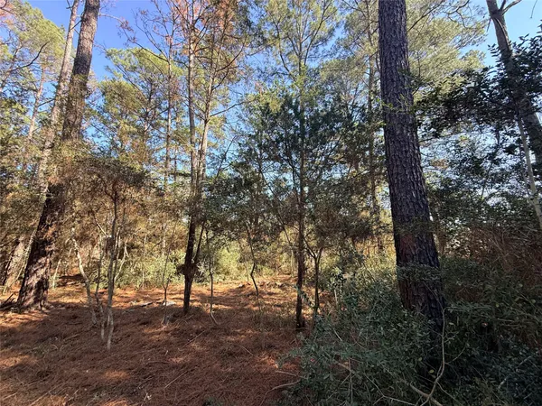 a view of road with trees