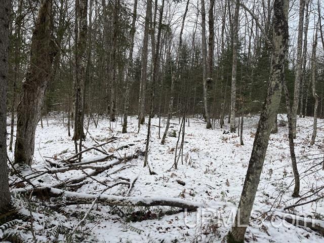 545 South Rd Skandia Mi 49885 Road Skandia, MI 49885 - Photo 30 of 38
