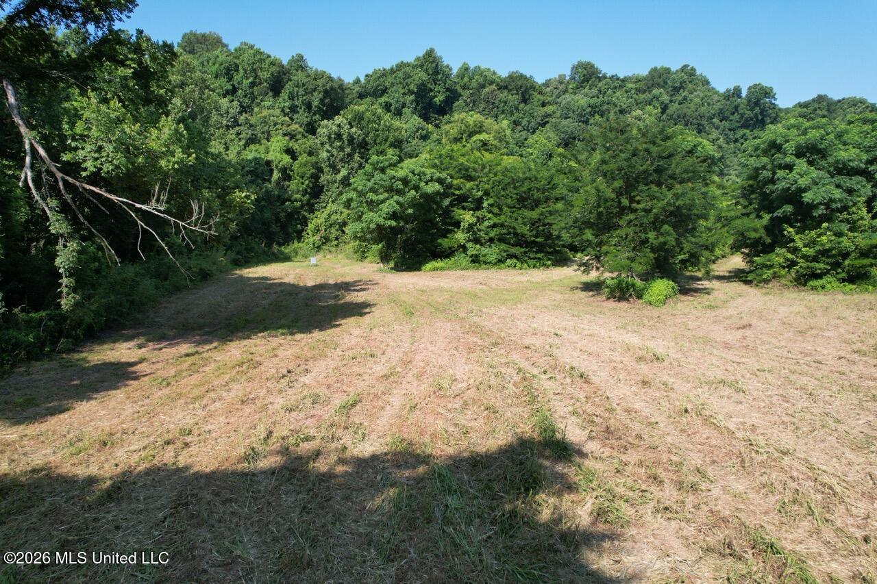 Annas Bottom Road Natchez, MS 39120 - Photo 4 of 48 DJI_0385 Large