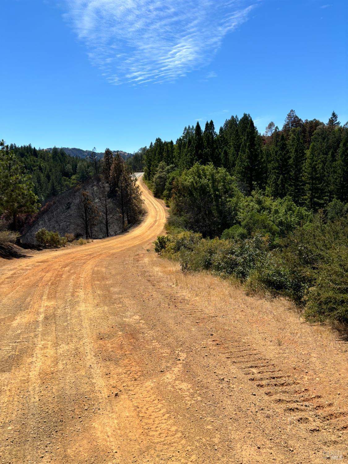 4901 Stewarts Point-Skaggs Springs Road Healdsburg, CA 95448 - Photo 19 of 22 a view of a dry yard with trees