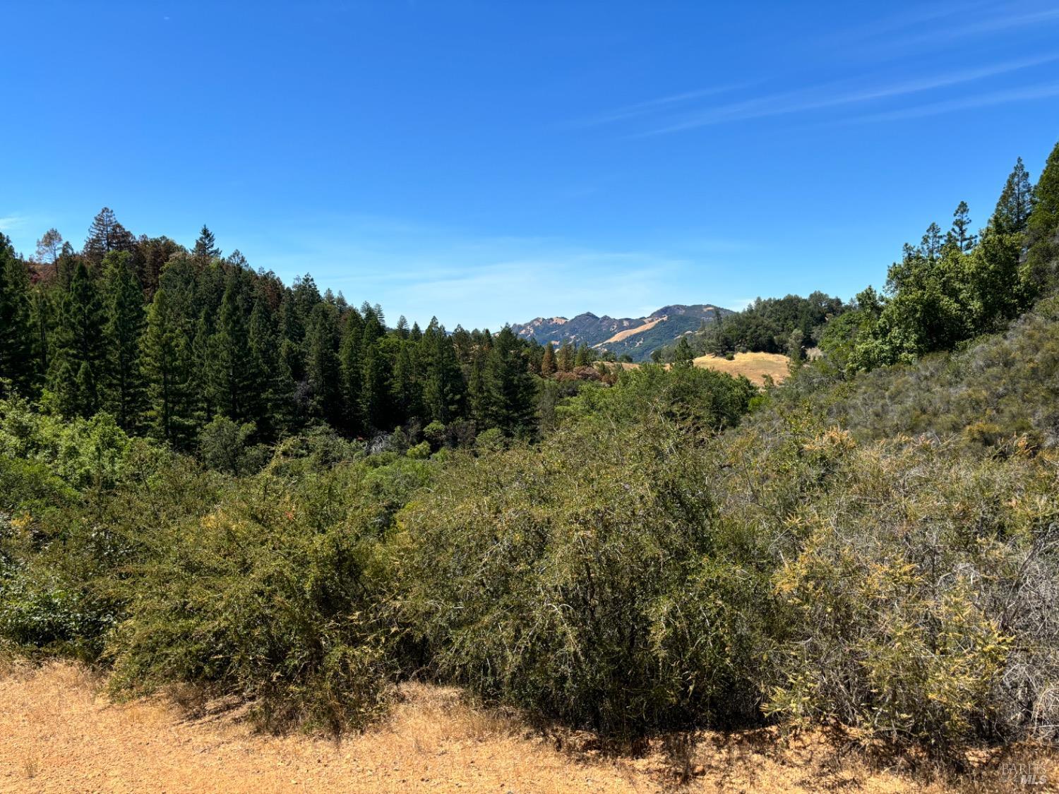 4901 Stewarts Point-Skaggs Springs Road Healdsburg, CA 95448 - Photo 2 of 22 a view of a forest with a forest