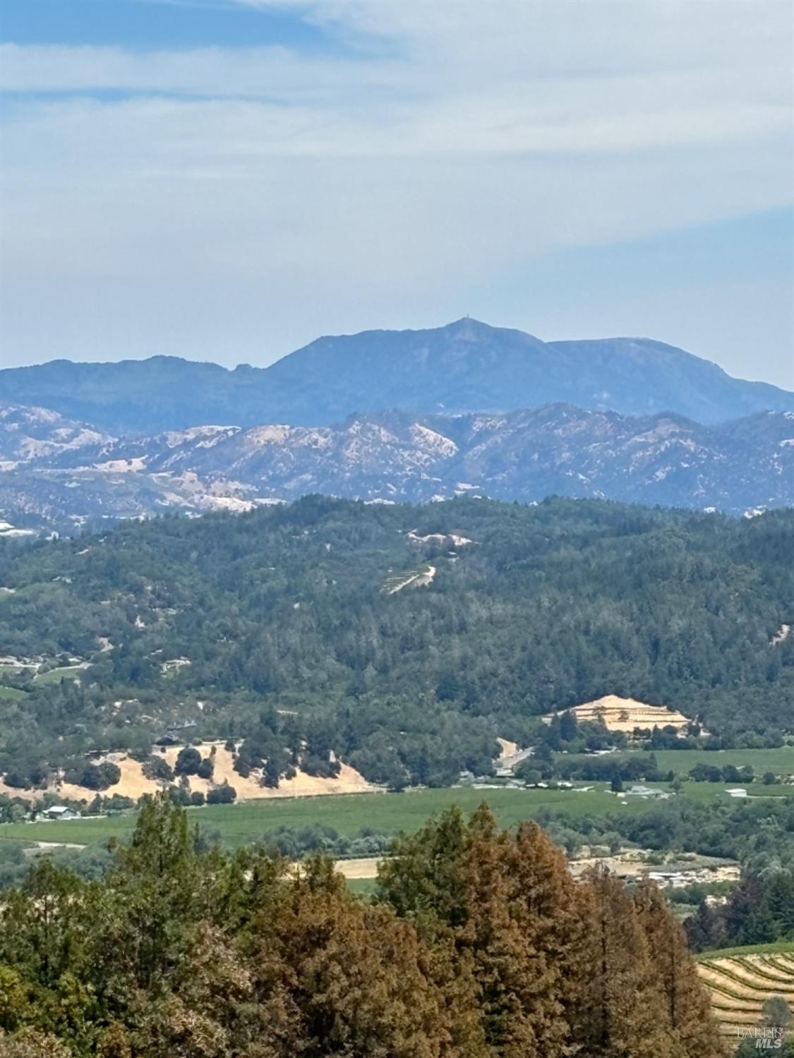 4901 Stewarts Point-Skaggs Springs Road Healdsburg, CA 95448 - Photo 3 of 22 a view of a mountain from a yard