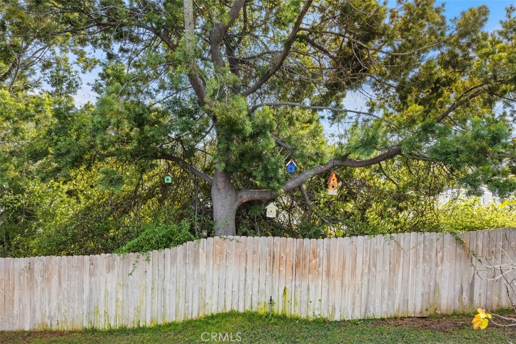 1321 Pepper Tree Lane Vista, CA 92084 - Photo 26 of 63 Large tree with wildlife