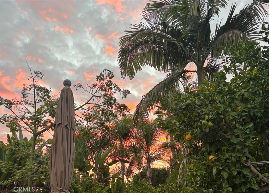 1321 Pepper Tree Lane Vista, CA 92084 - Photo 39 of 63 Beautiful sunset sky views from patio & pool