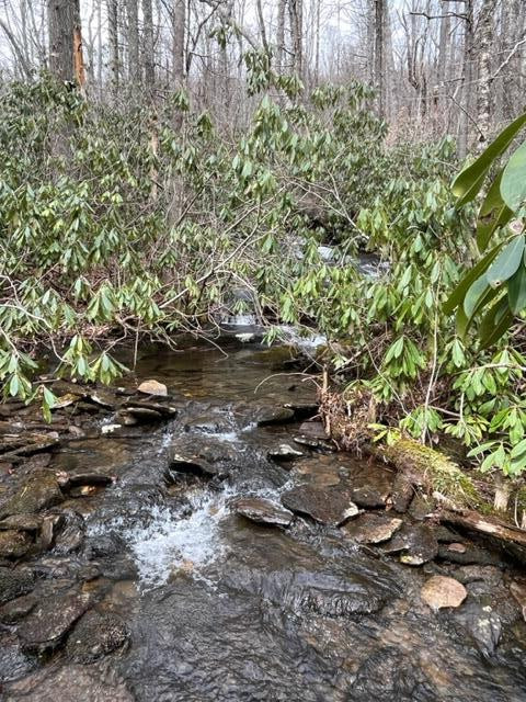 6 Squally Road Robbinsville, NC 28771 - Photo 2 of 19