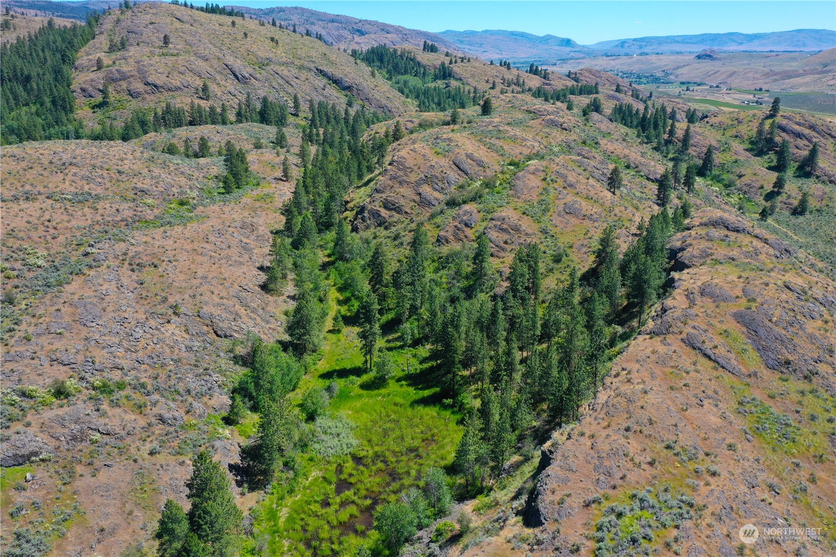 192 Hubbard Road Riverside, WA 98849 - Photo 35 of 40 a view of a valley with a mountain in the background