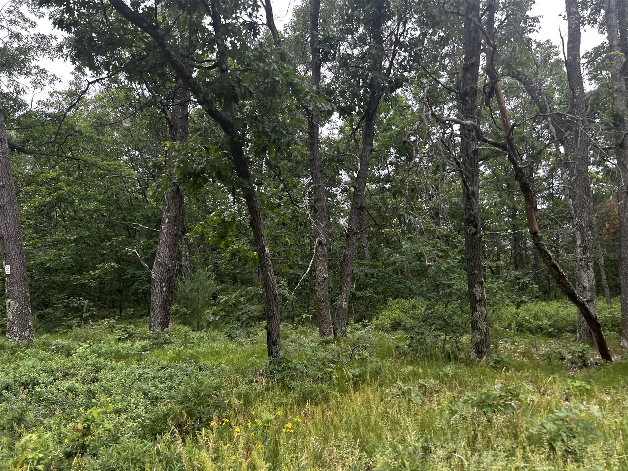 7376 West 7 Mile Road Mesick, MI 49668 - Photo 18 of 26 Gallery Image 18