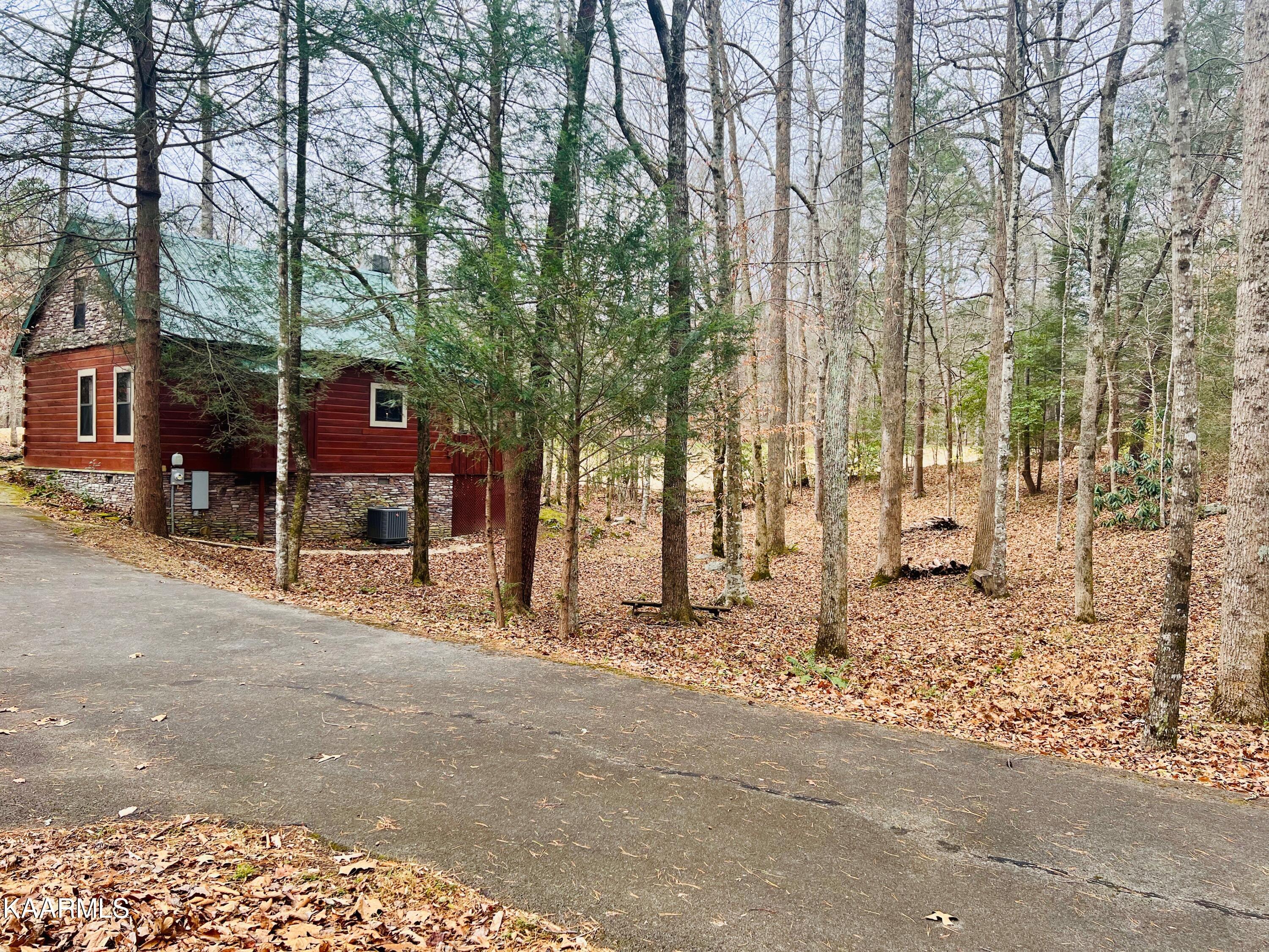 278 Laurel Road Townsend, TN 37882 - Photo 22 of 37 IMG_7487