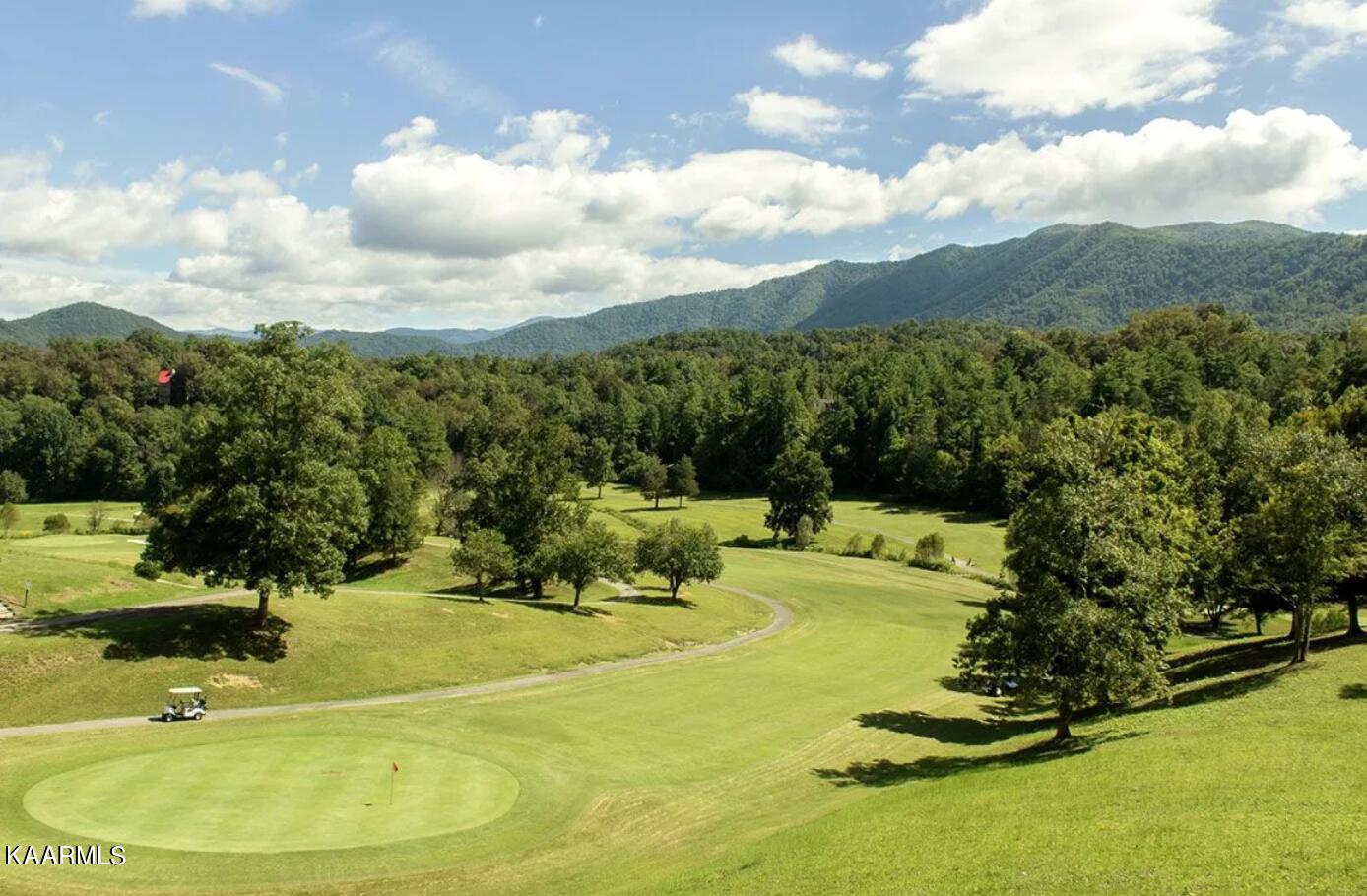 278 Laurel Road Townsend, TN 37882 - Photo 32 of 37 Golf Course