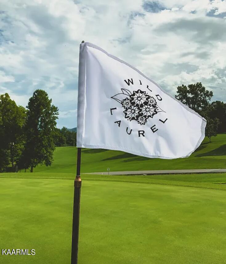 278 Laurel Road Townsend, TN 37882 - Photo 33 of 37 Wild Laurel