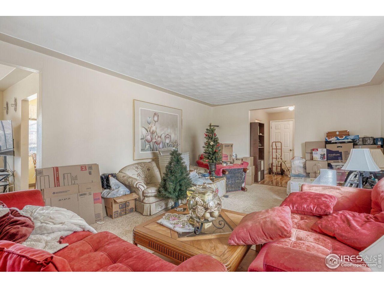 4845 Ellis Street Golden, CO 80403 - Photo 18 of 31