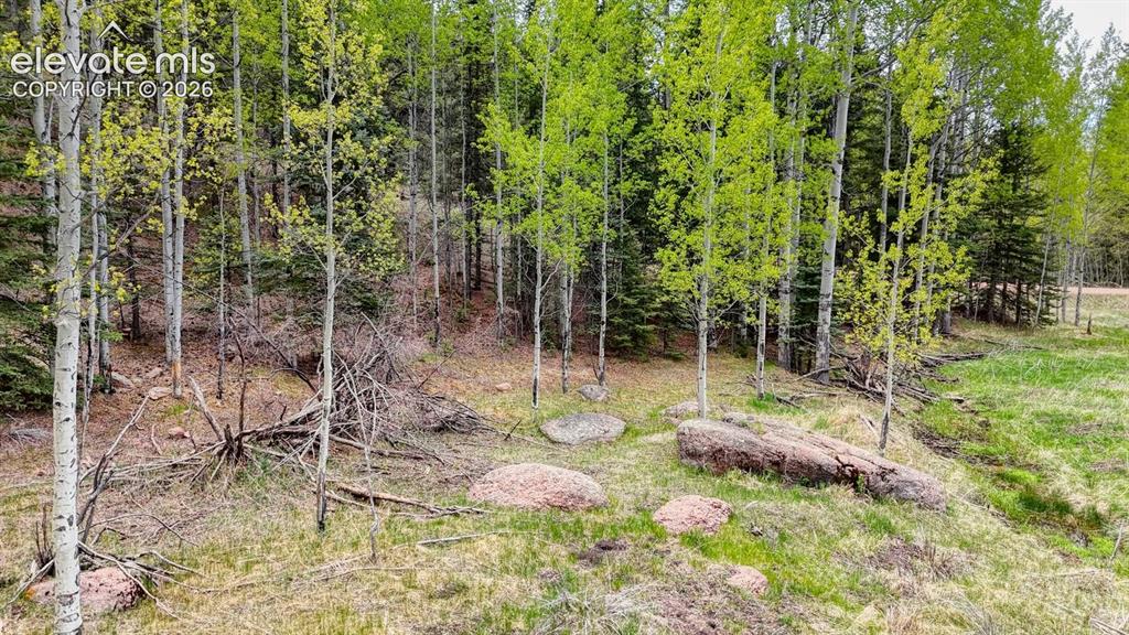 42 Rabbit Circle Florissant, CO 80816 - Photo 4 of 20 a backyard of a house with table and chairs