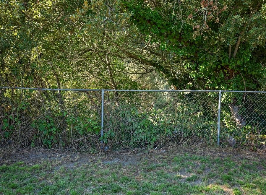 1101 Riverside Drive Rio Dell, CA 95562 - Photo 27 of 37 6E2A3731