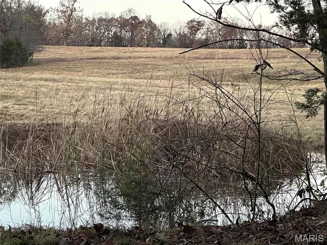 $200,000 | 0 Pump Station Road, Unit TRACT #5, Rosebud, MO 63091