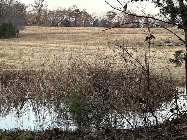 $200,000 | 0 Pump Station Road, Unit TRACT #5, Rosebud, MO 63091