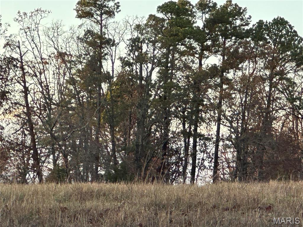 0 Pump Station Road, Unit TRACT #5 Rosebud, MO 63091 - Photo 3 of 11