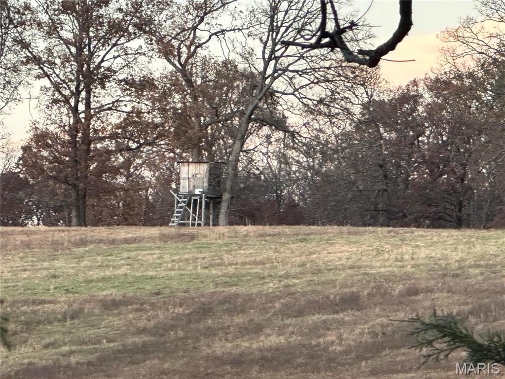 0 Pump Station Road, Unit TRACT #5 Rosebud, MO 63091 - Photo 4 of 11