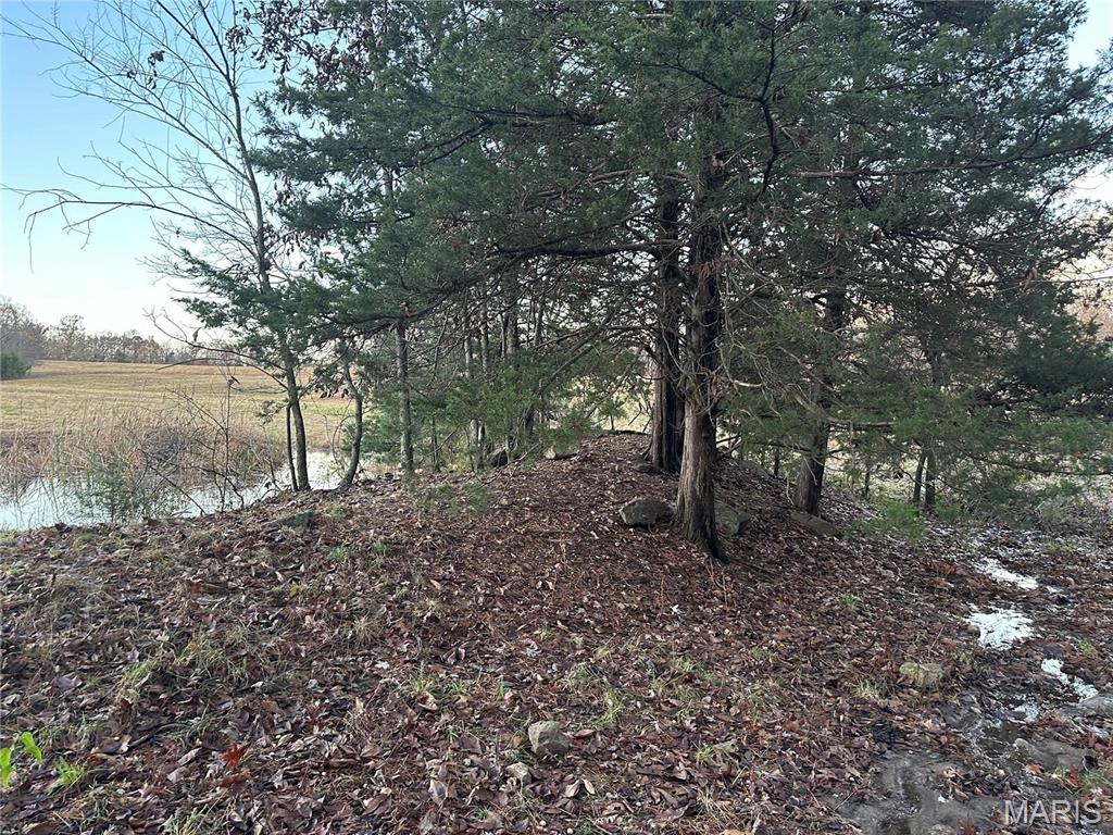 0 Pump Station Road, Unit TRACT #5 Rosebud, MO 63091 - Photo 6 of 11