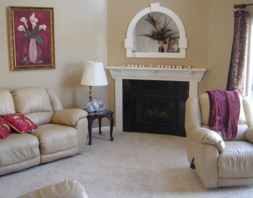 155 Riemer Road Sarver, PA 16055 - Photo 3 of 17 Living Room. Living room w/ gas log fireplace.