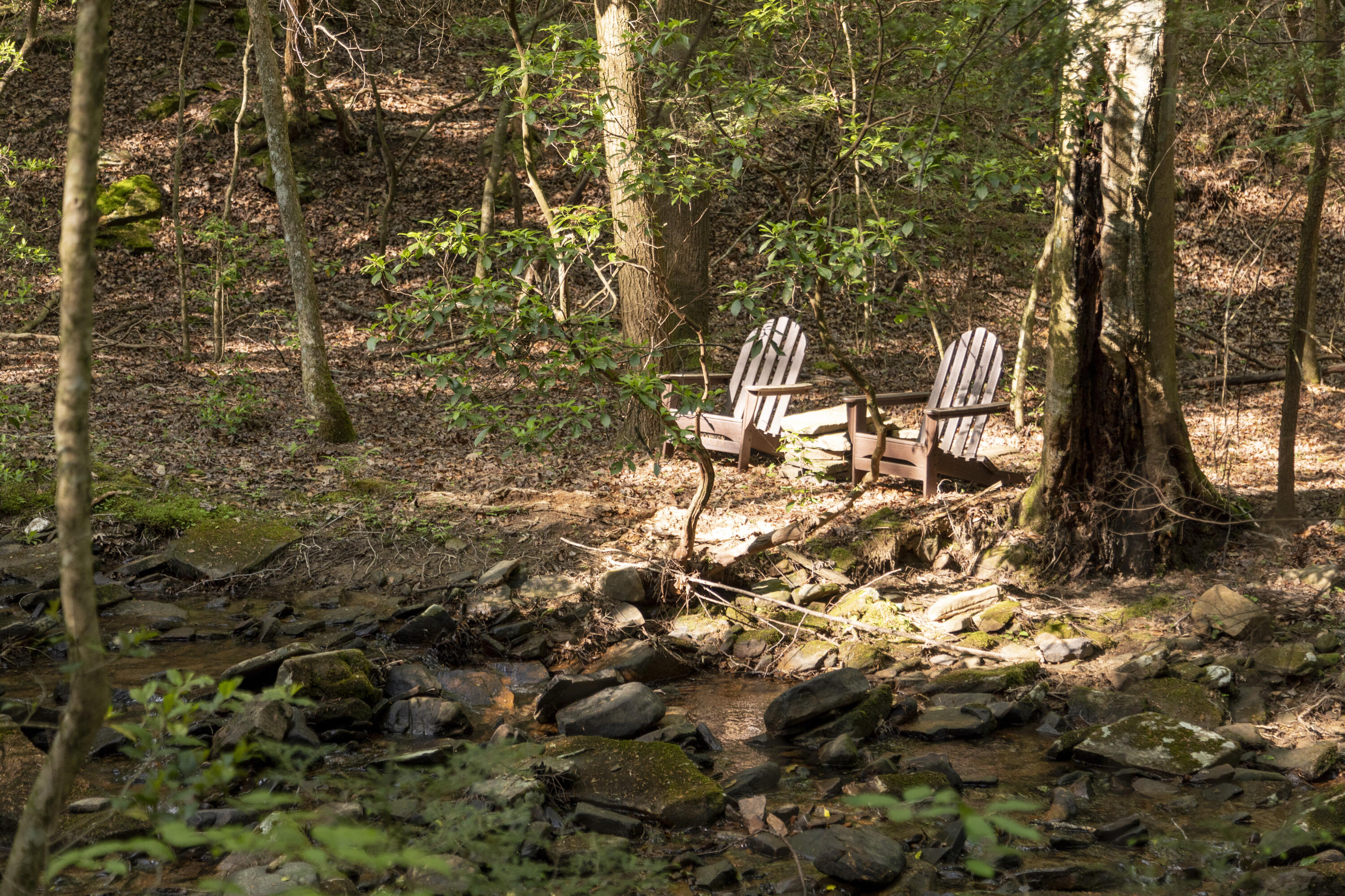 1497 Roaring Creek Road Dunlap, TN 37327 - Photo 47 of 79 Property_1H9A9075