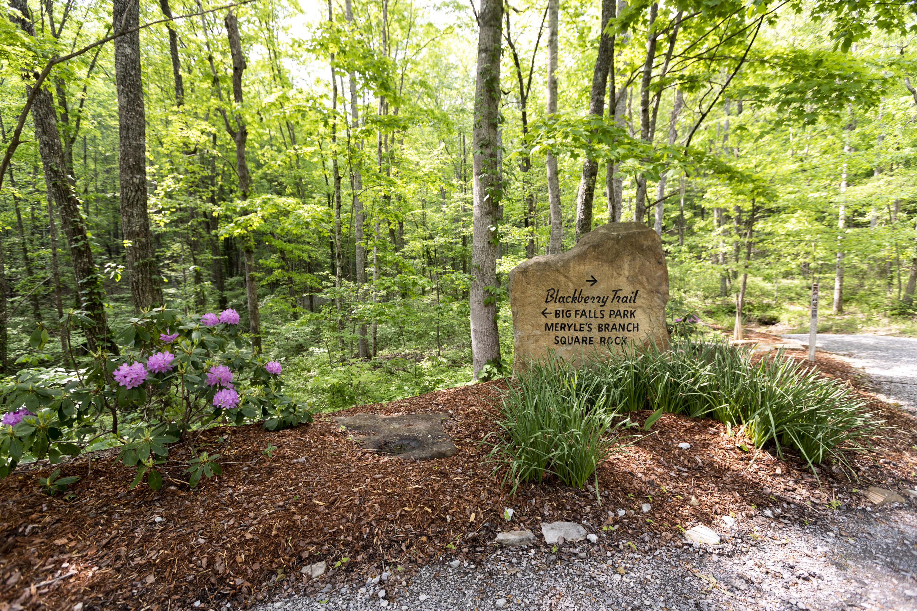 1497 Roaring Creek Road Dunlap, TN 37327 - Photo 53 of 79 Property_IMG_9228