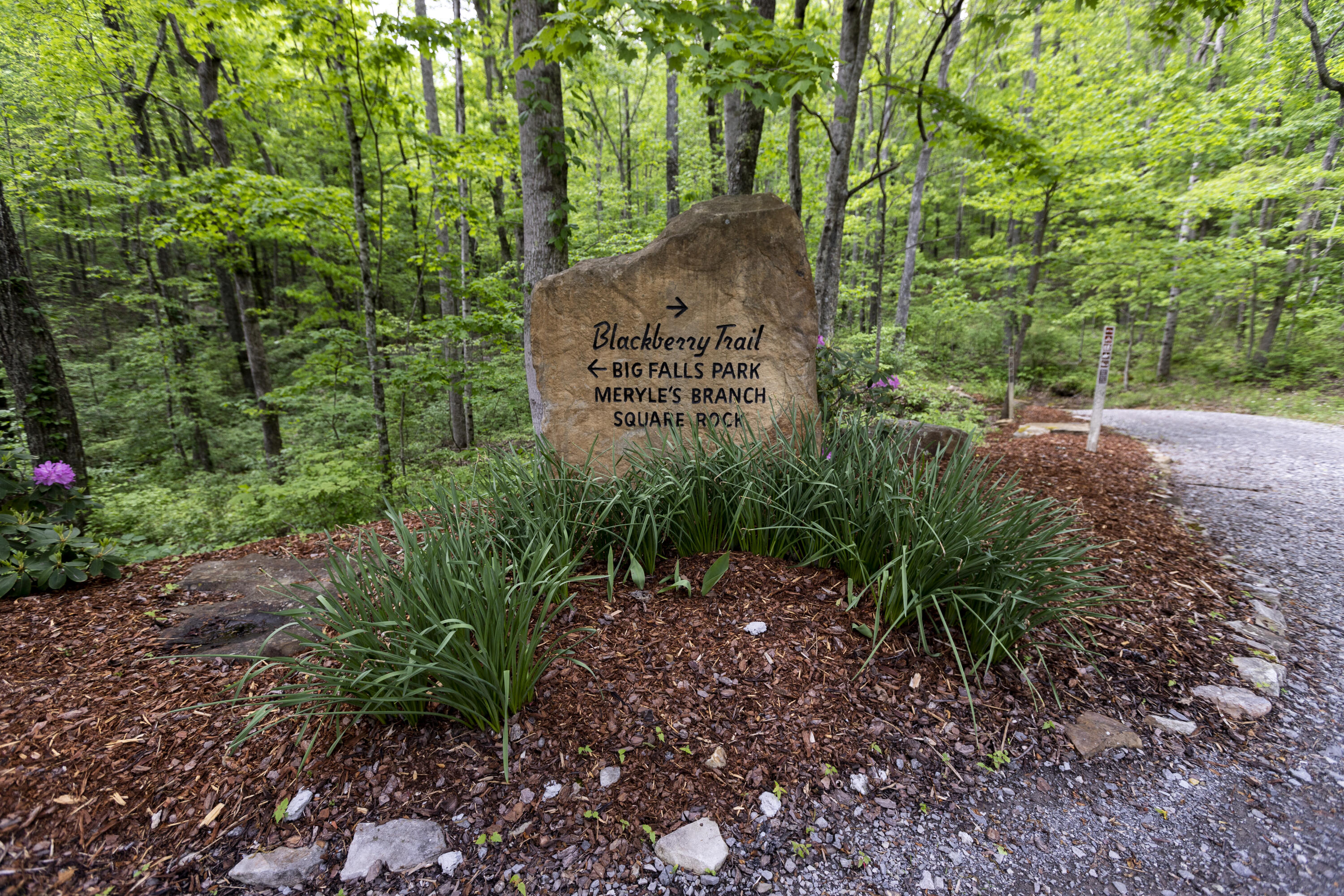 1497 Roaring Creek Road Dunlap, TN 37327 - Photo 54 of 79 Property_IMG_9229