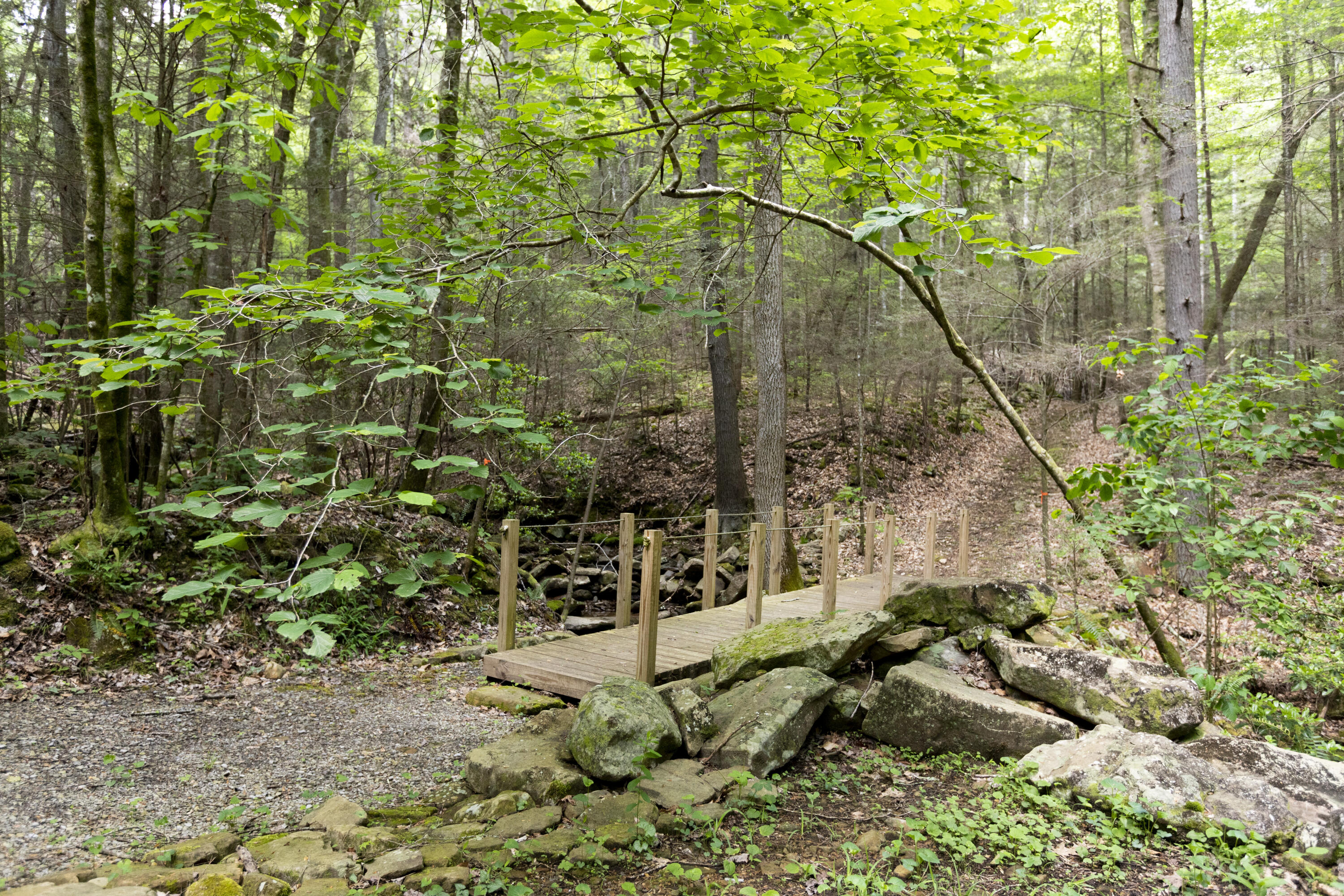 1497 Roaring Creek Road Dunlap, TN 37327 - Photo 55 of 79 Property_IMG_9231