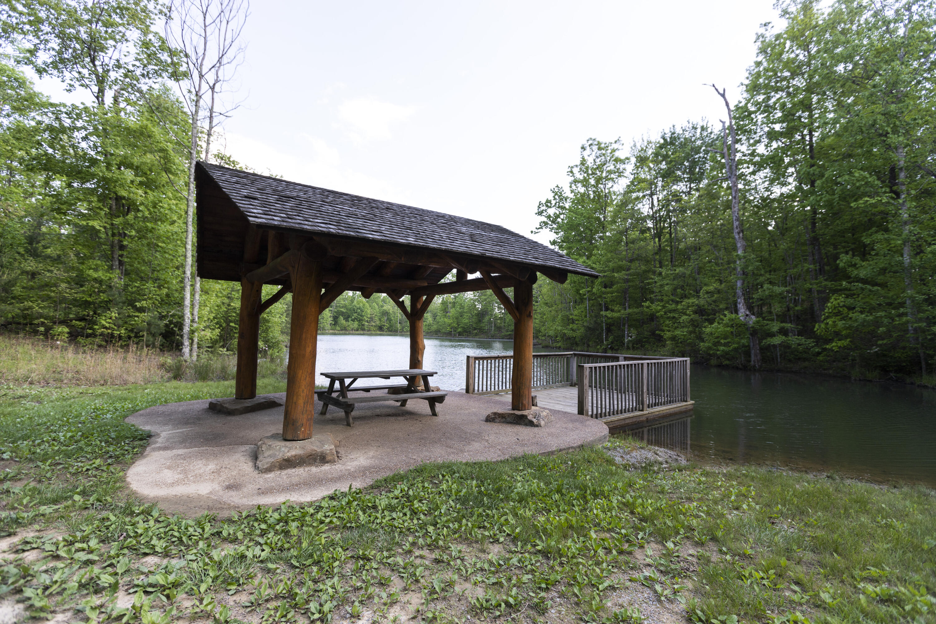 1497 Roaring Creek Road Dunlap, TN 37327 - Photo 64 of 79 Property_IMG_9260