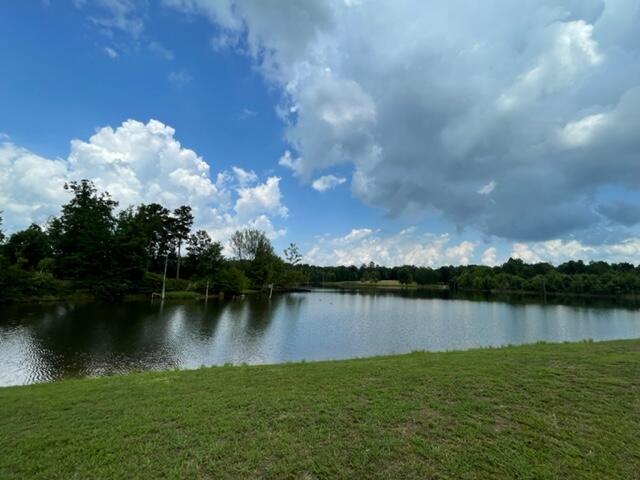 1497 Roaring Creek Road Dunlap, TN 37327 - Photo 72 of 79 IMG_6018