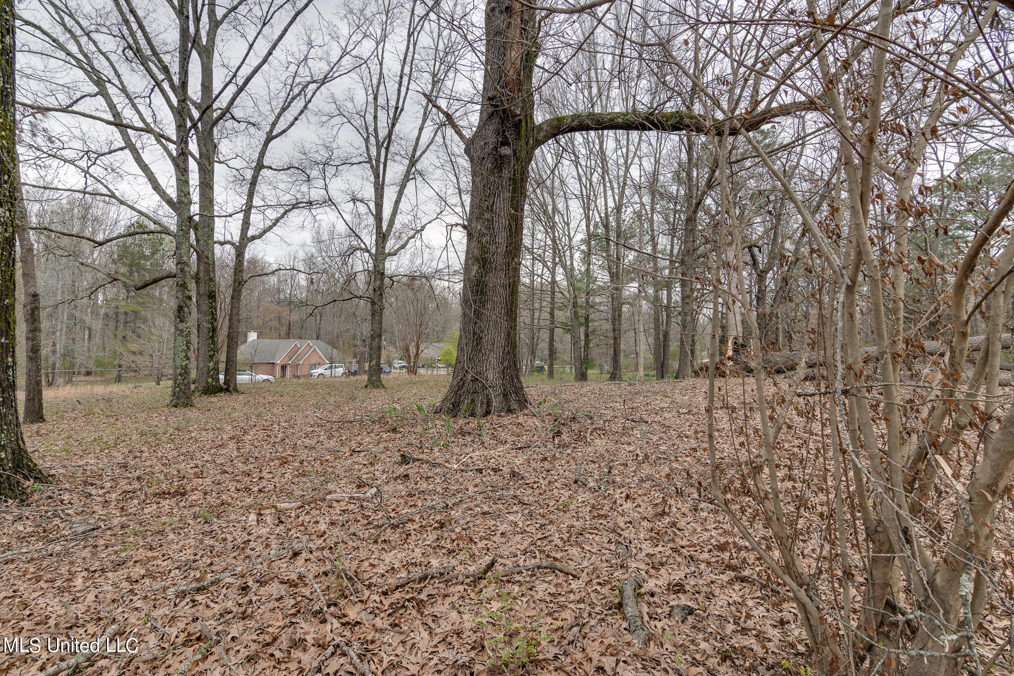 307 Woodview Road Byhalia, MS 38611 - Photo 33 of 37 307 Woodview Road-4