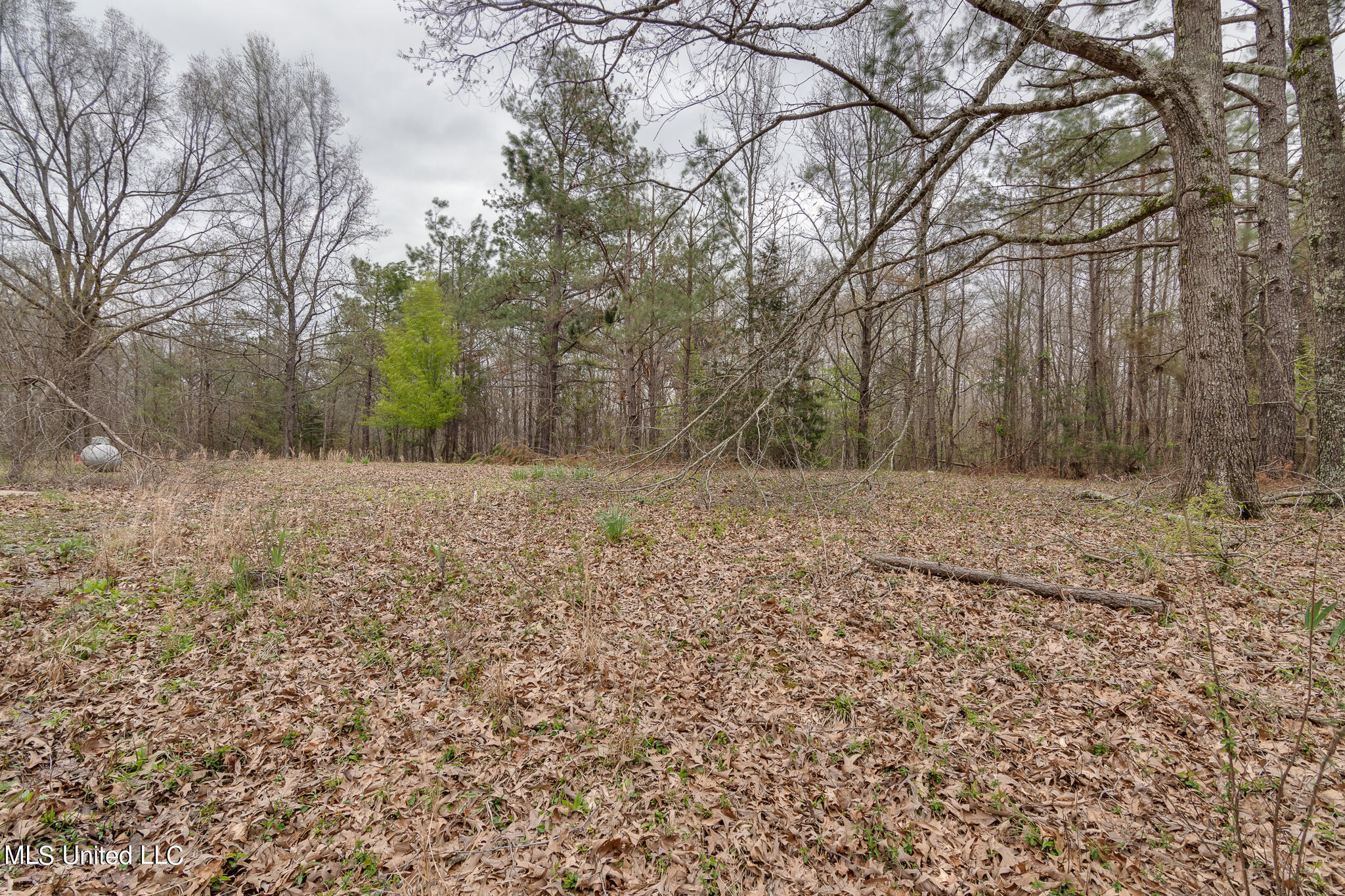 307 Woodview Road Byhalia, MS 38611 - Photo 34 of 37 307 Woodview Road-40