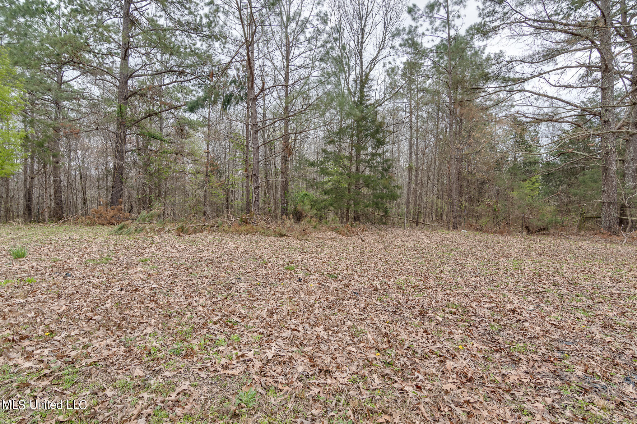 307 Woodview Road Byhalia, MS 38611 - Photo 36 of 37 307 Woodview Road-42