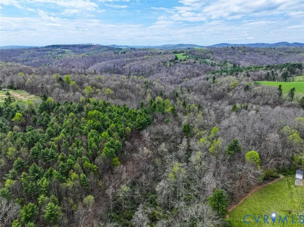 a view of a field with a forest