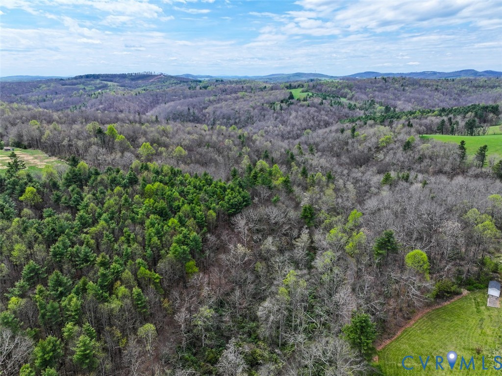 311 Dan River Road Meadows Of Dan, VA 24120 - Photo 2 of 50 a view of a field with a forest