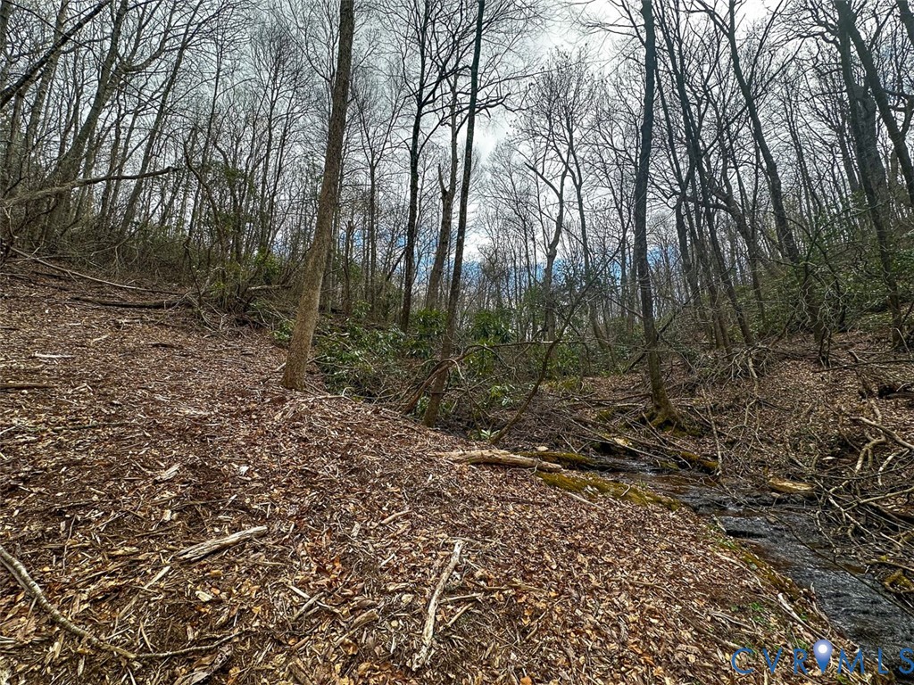 311 Dan River Road Meadows Of Dan, VA 24120 - Photo 28 of 50 a big yard with lots of green space