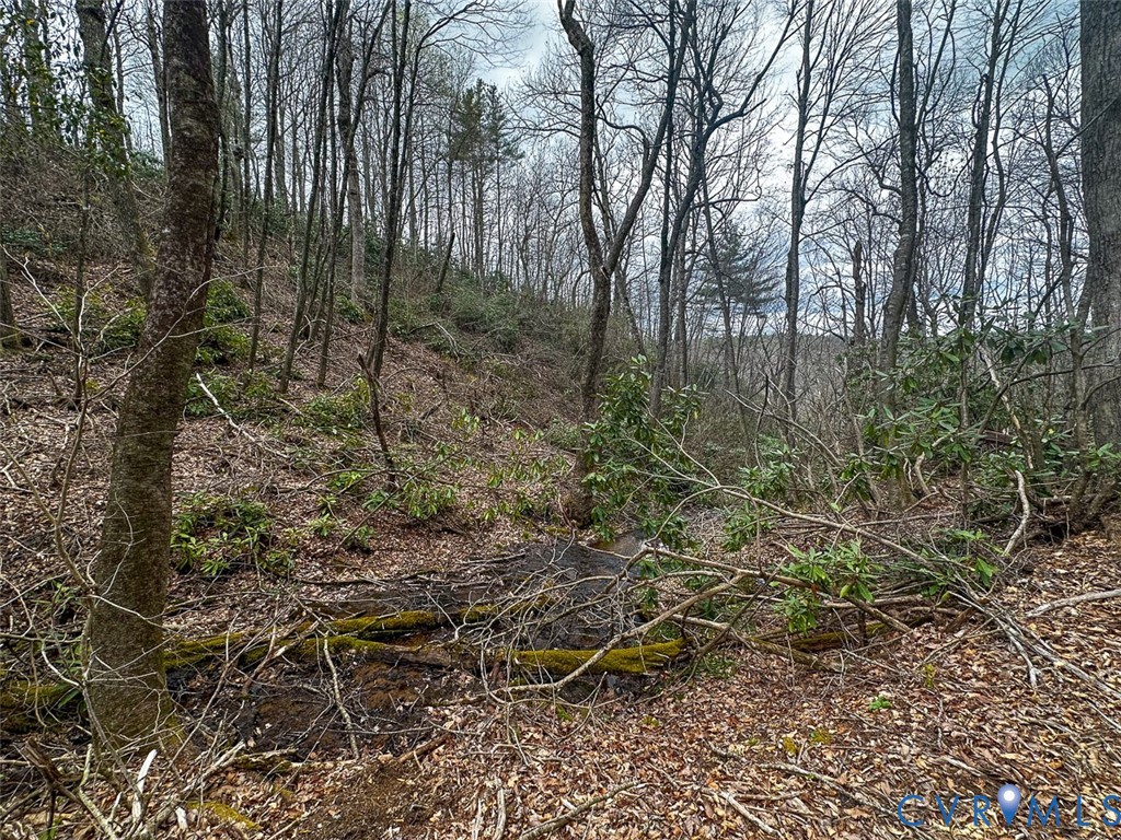 311 Dan River Road Meadows Of Dan, VA 24120 - Photo 29 of 50 a view of a forest